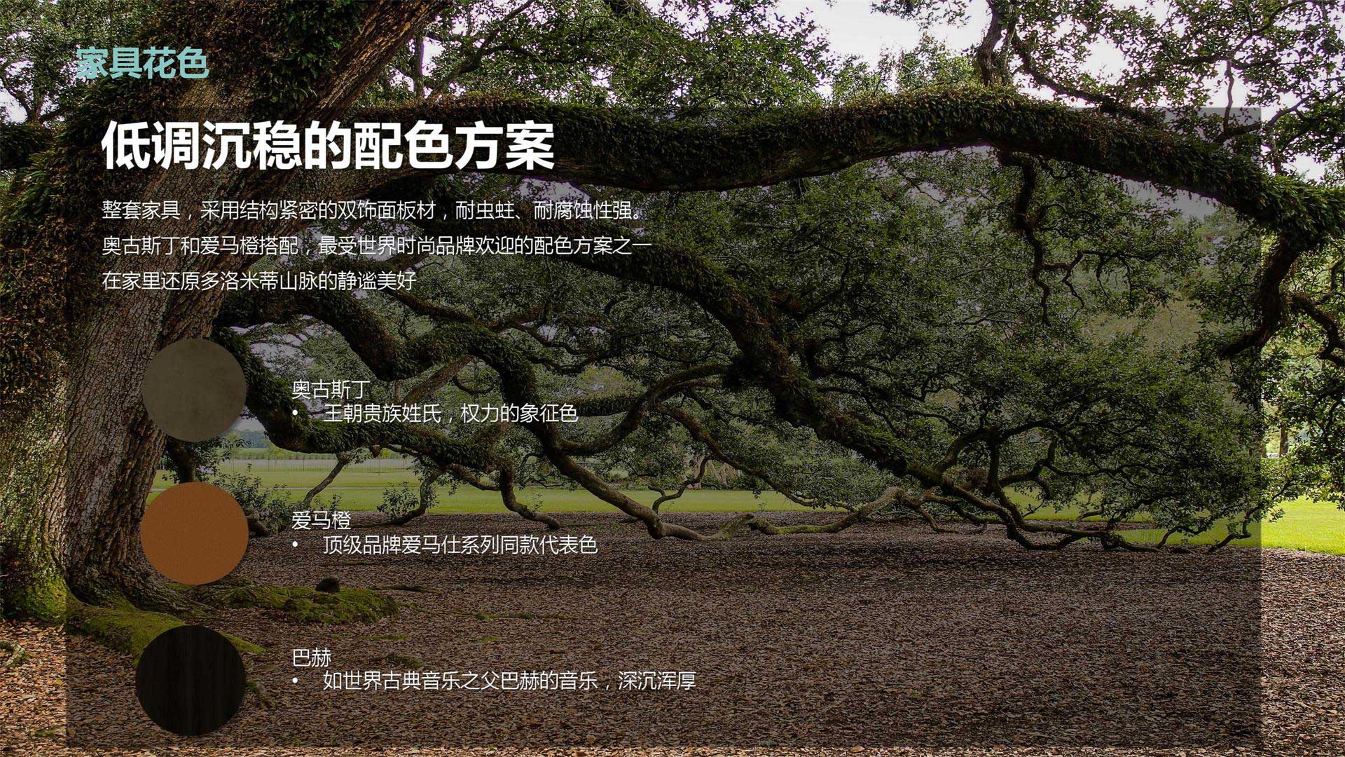 一号娱乐